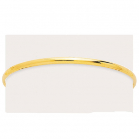 Bracelet jonc fil ovale massif 2,4mm Anglina - 359.25