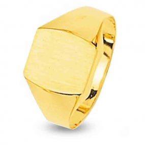 Chevalire Or Jaune Or 18 ct - 750/1000 - 2.69 g - Marya - 5014.1M
