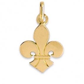 Pendentif Fleur de Lys Or Jaune -  -Ania - XP1665