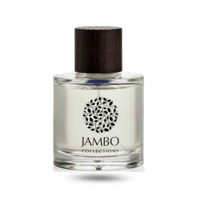 Spray d'intrieur Papua 100ml - Pomme - Prestigio Collection 30PAP0100  Jambo Collections